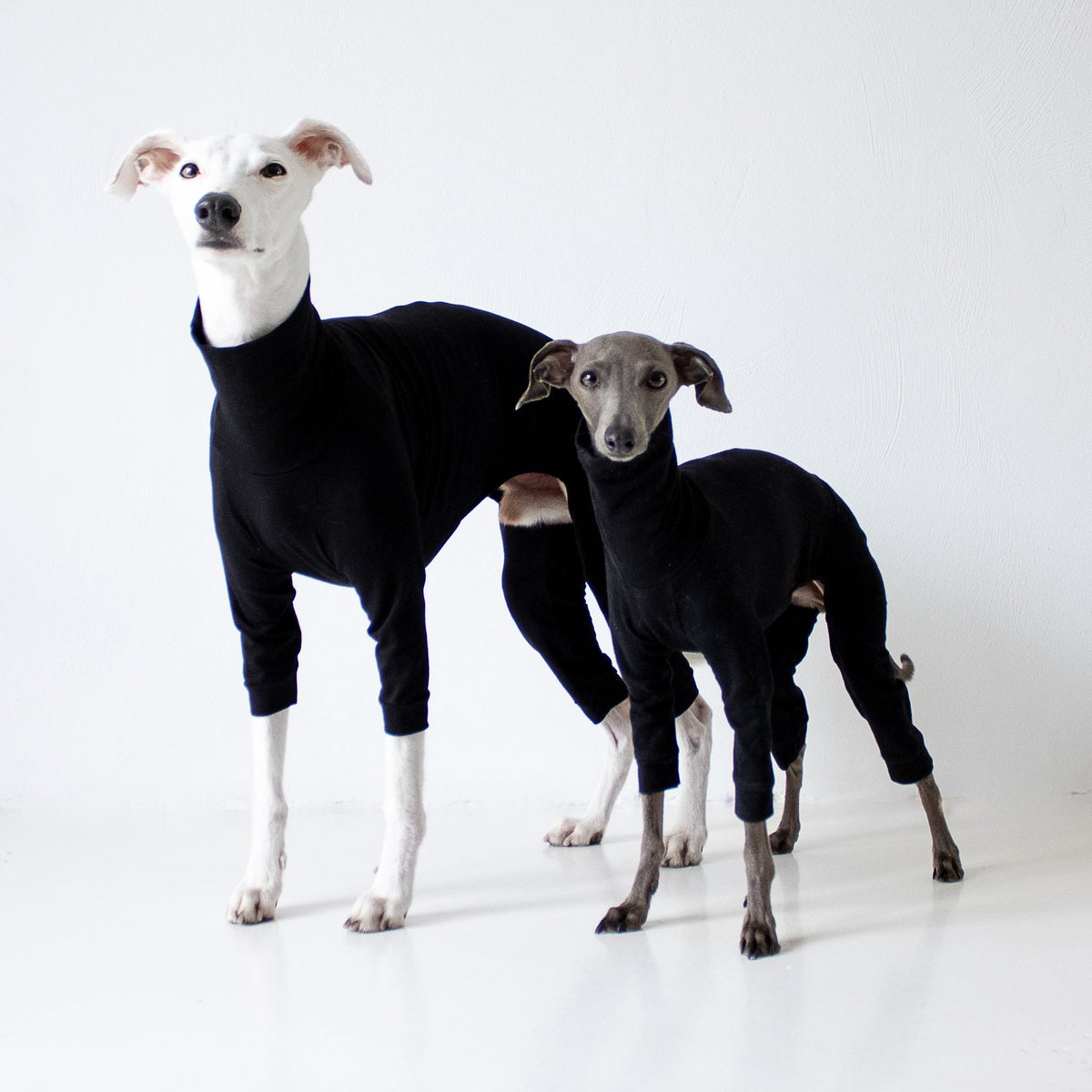 Overalls greyhound, whippet and dachshund – Karma-Hund Shop