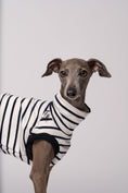 Load image into Gallery viewer, Iggy Shirt Stripes