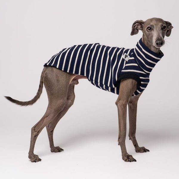 Italienisches Windspiel Shirt Baumwolle