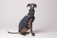Load image into Gallery viewer, Italian Greyhound