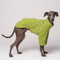 Load image into Gallery viewer, Windspiel Pullover Light Green