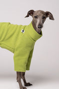 Load image into Gallery viewer, Windspiel Fleece Pullover Light Green