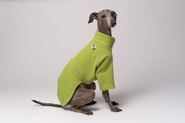 Italienisches Windspiel Pullover Light Green