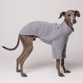Load image into Gallery viewer, Windspiel Pullover Light Gray