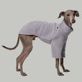 Load image into Gallery viewer, Windspiel Pullover Light Gray