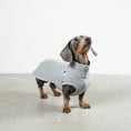Load image into Gallery viewer, COTTON SHIRT Dachshund Grey Melange