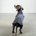 Load image into Gallery viewer, COTTON SHIRT 2.0 for Dachshunds in Navy