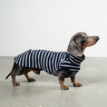 Load image into Gallery viewer, COTTON SHIRT 2.0 for Dachshunds in Navy