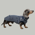 Load image into Gallery viewer, COTTON SHIRT 2.0 for Dachshunds in Navy
