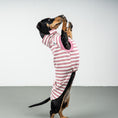 Load image into Gallery viewer, COTTON SHIRT Dackel Pink Stripes