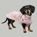 Load image into Gallery viewer, COTTON SHIRT Dackel Rosa gestreift