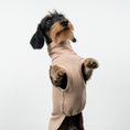 Load image into Gallery viewer, COTTON SHIRT Dachshund Sand