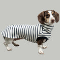 Load image into Gallery viewer, COTTON SHIRT Dackel Weiß gestreift