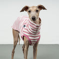 Load image into Gallery viewer, COTTON SHIRT Iggy Pink Stripes