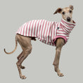 Load image into Gallery viewer, COTTON SHIRT Iggy Rosa gestreift