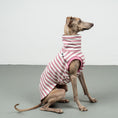 Load image into Gallery viewer, COTTON SHIRT Iggy Pink Stripes