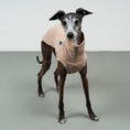Load image into Gallery viewer, COTTON SHIRT Iggy Sand