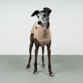 Load image into Gallery viewer, COTTON SHIRT Iggy Sand