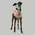 Load image into Gallery viewer, COTTON SHIRT Iggy Sand