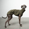 Load image into Gallery viewer, COTTON SHIRT Iggy Dark Olive