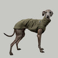 Load image into Gallery viewer, COTTON SHIRT Iggy Dark Olive