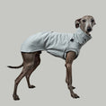 Load image into Gallery viewer, COTTON SHIRT Iggy Grey Melange