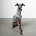 Load image into Gallery viewer, COTTON SHIRT Iggy Grey Melange