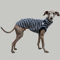Load image into Gallery viewer, COTTON SHIRT Iggy Dunkelblau gestreift