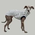 Load image into Gallery viewer, COTTON SHIRT Iggy Weiß gestreift
