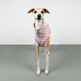 Load image into Gallery viewer, COTTON SHIRT Windhund Pink Stripes