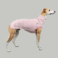 Load image into Gallery viewer, COTTON SHIRT Windhund Rosa gestreift