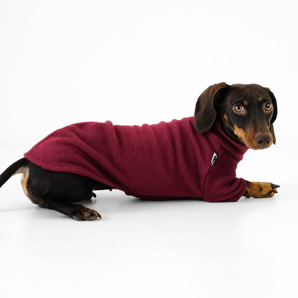 Hundepullover Fleece für Dackel