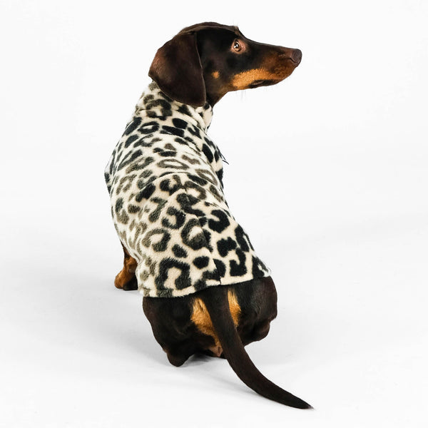 Dackel Fleece Long Shirt 2.0 in Leo