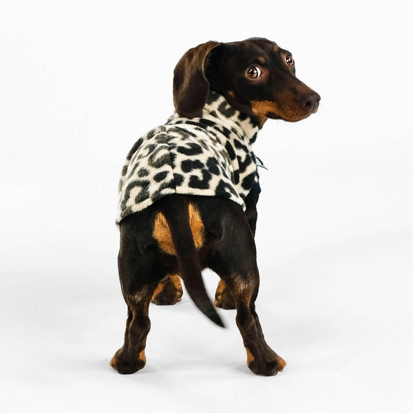 Dackel Fleece Long Shirt in Leo