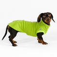 Load image into Gallery viewer, Dackel Fleece Long Shirt 2.0 in Light Green