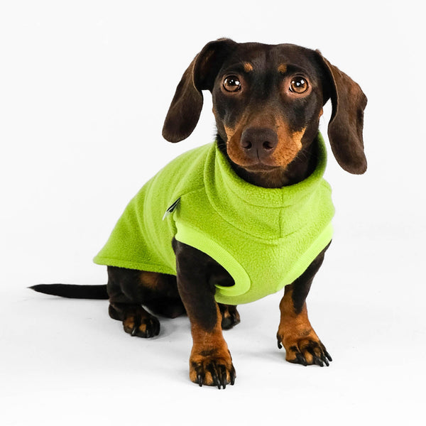 Dackel Fleece Long Shirt Light Gree