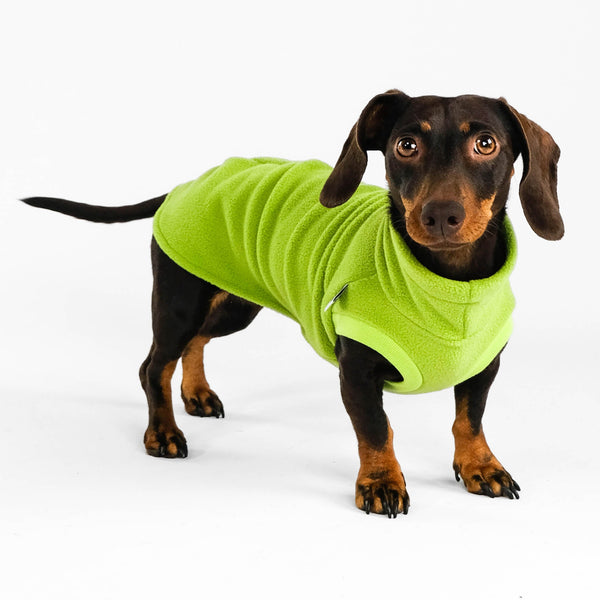 Dackel Fleece Long Shirt 2.0 Light Green