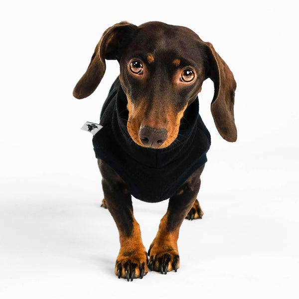 Dackel Fleece Long Shirt 2.0 in Schwarz