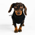 Load image into Gallery viewer, Dackel Fleece Long Shirt 2.0 in Schwarz