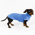 Load image into Gallery viewer, Dackel Fleece Long Shirt 2.0 in Sky Blue