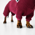 Load image into Gallery viewer, Hundepullover für Dackel