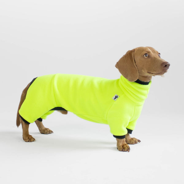 Dachshund Overall neon Yellow