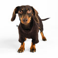 Load image into Gallery viewer, Dackel Fleece Pullover Brown