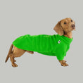 Load image into Gallery viewer, Dackel Pullover Grass Green