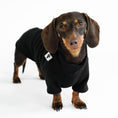 Load image into Gallery viewer, Dachshund Jumper