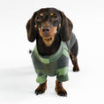 Load image into Gallery viewer, Dackel Fleece Pullover
