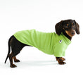 Load image into Gallery viewer, Dachshund Jumper