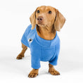 Load image into Gallery viewer, Dackel Pullover Sky Blue