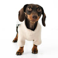 Load image into Gallery viewer, Dackel Pullover Sand