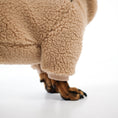 Load image into Gallery viewer, Dackel Teddy Pullover
